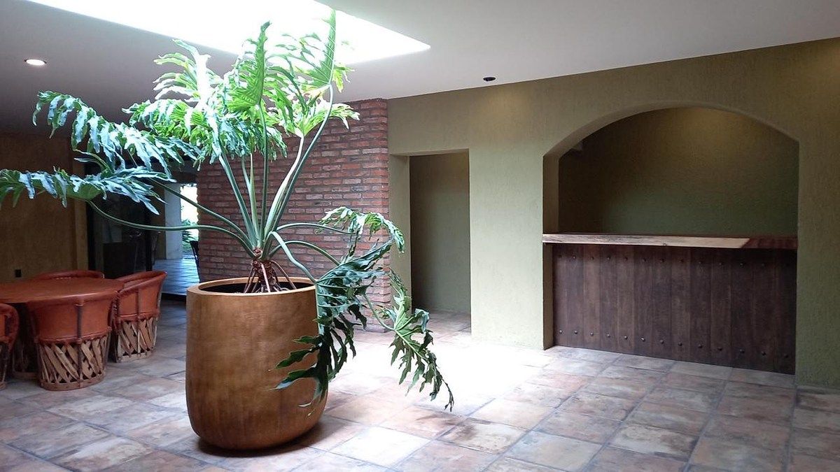 House in Santa Anita Camino Real, Tlaquepaque, photo 6 of 21