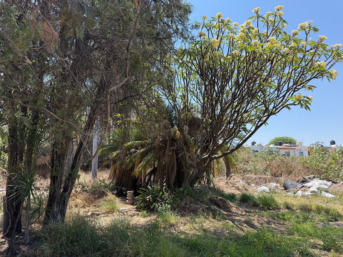 Lote em La Tijera, Tlajomulco de Zúñiga, foto 4 de 8