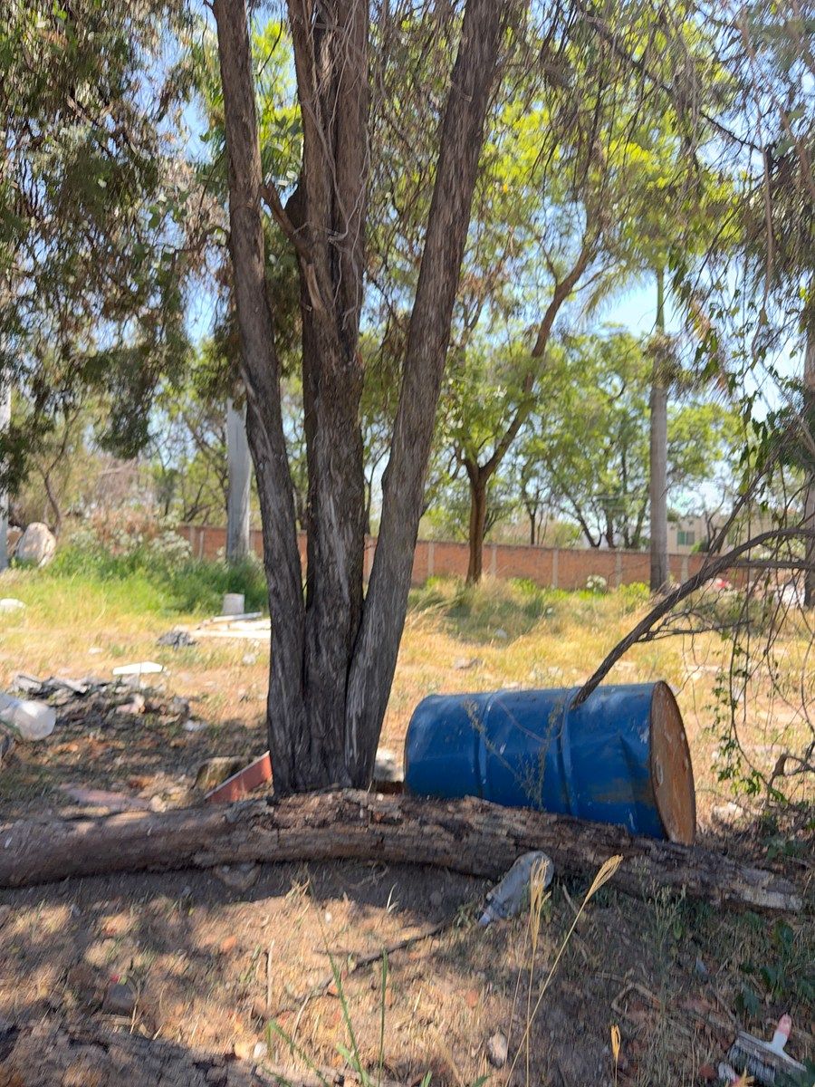 Lote em La Tijera, Tlajomulco de Zúñiga, foto 5 de 8