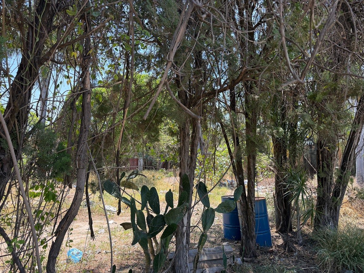 Lote em La Tijera, Tlajomulco de Zúñiga, foto 6 de 8