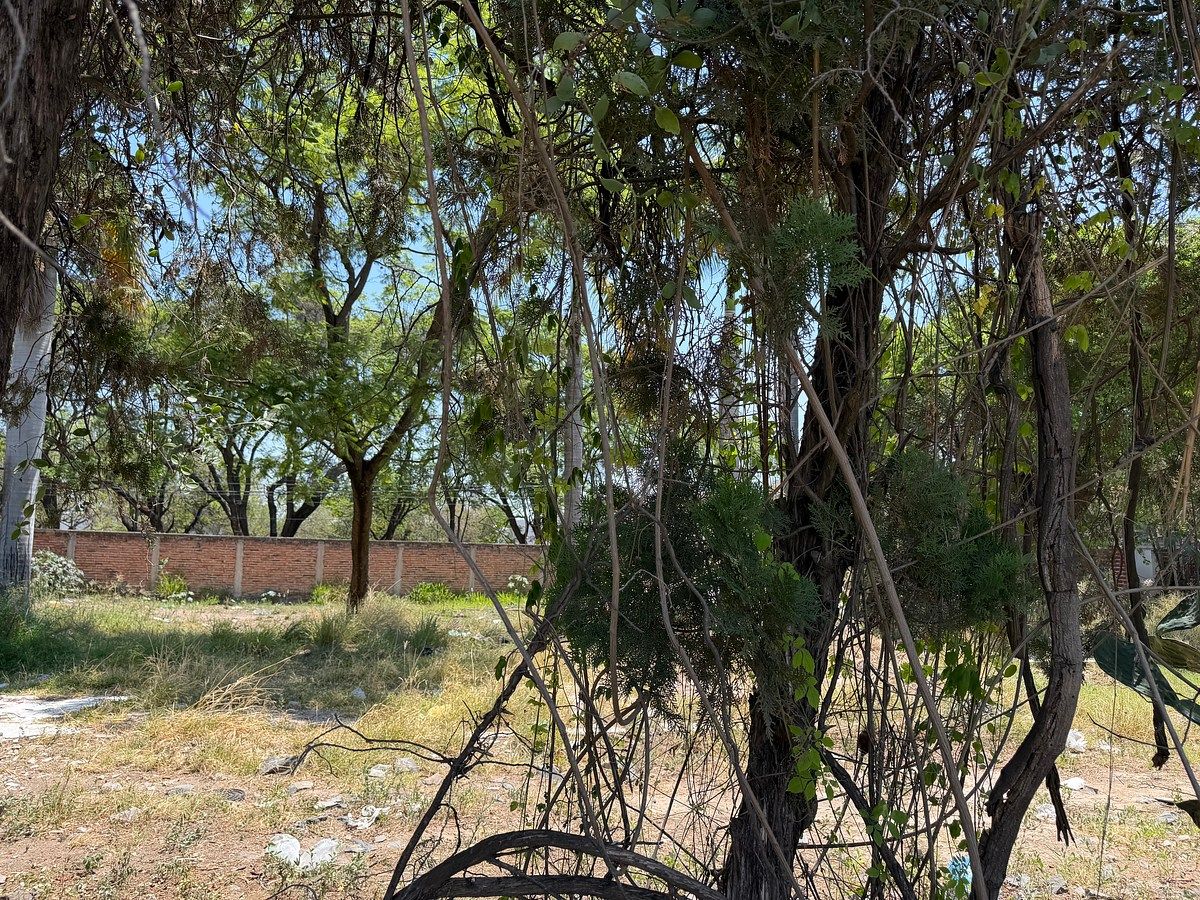 Lote em La Tijera, Tlajomulco de Zúñiga, foto 7 de 8