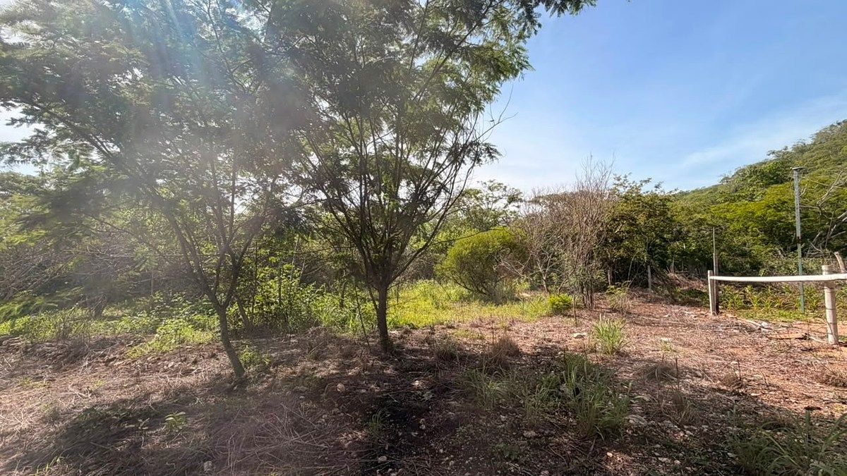 Lote em Viva Cárdenas, San Fernando, foto 7 de 8