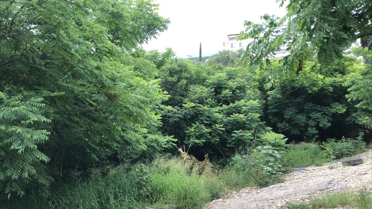 Terreno en Sierra Nevada, San Pedro Garza García, foto 6 de 7