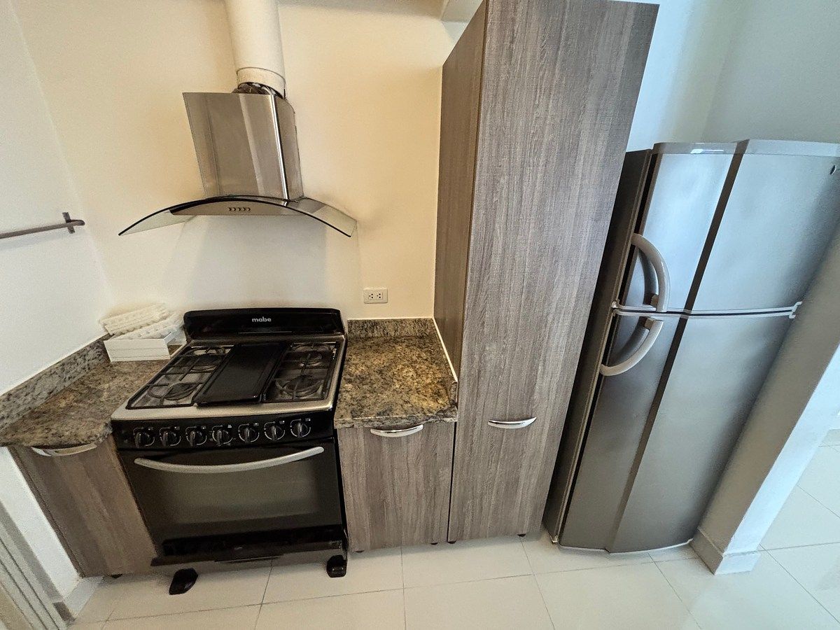 Apartamento en Piantini, Santo Domingo Centro (Distrito Nacional), foto 5 de 9