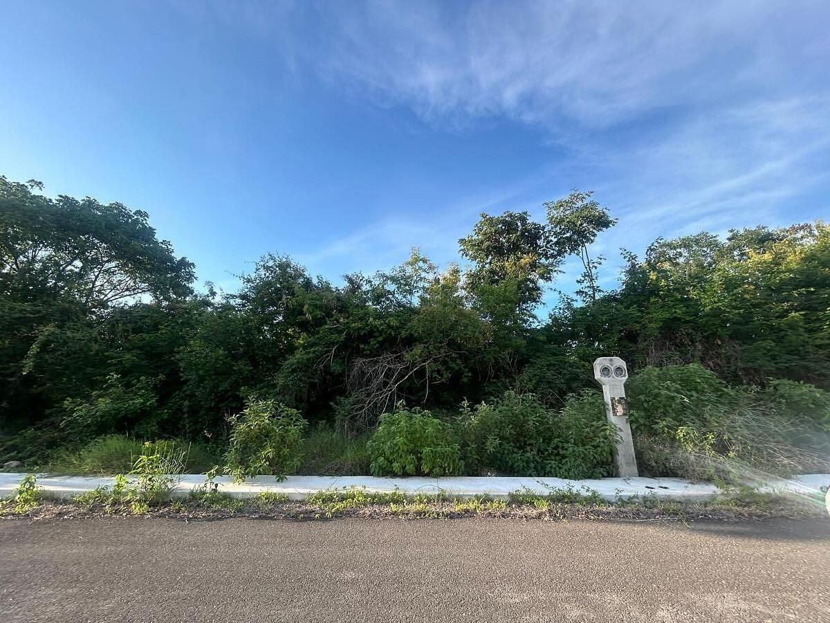Lote em Sitpach, Mérida, foto 4 de 20