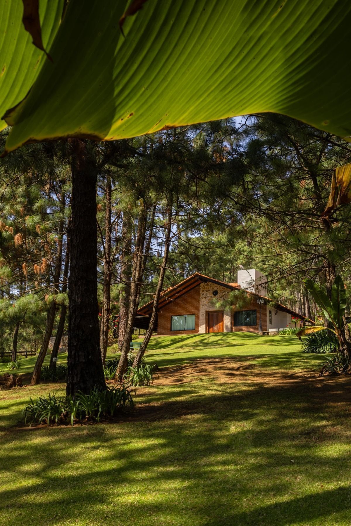 Casa en Mazamitla, Mazamitla, foto 17 de 17