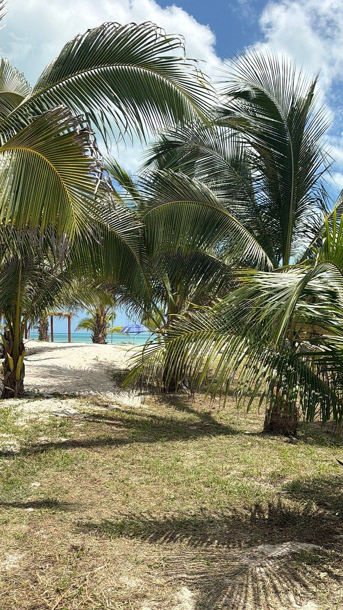 Lote em 1 de Mayo (Playón), Carmen, foto 20 de 45