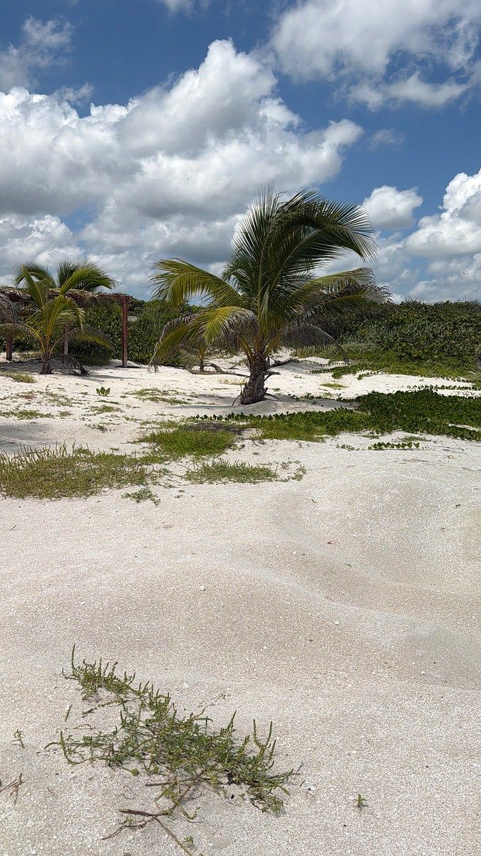 Lote em 1 de Mayo (Playón), Carmen, foto 24 de 45