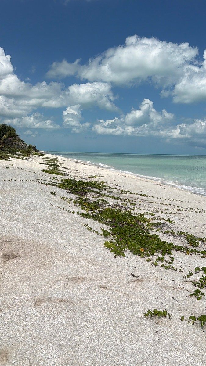 Lote em 1 de Mayo (Playón), Carmen, foto 25 de 45