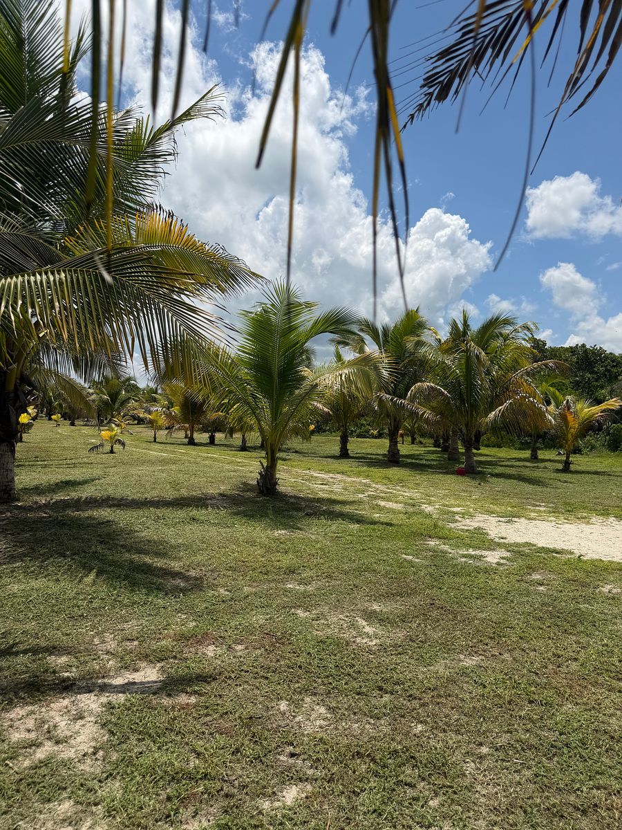 Lote em 1 de Mayo (Playón), Carmen, foto 32 de 45