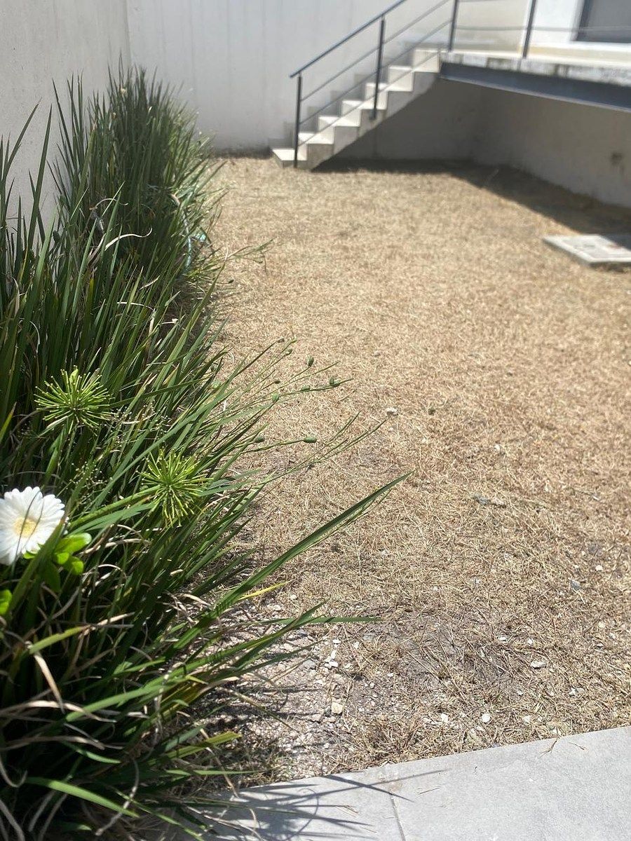 Casa em condomínio fechado em Zibatá, El Marqués, foto 8 de 9