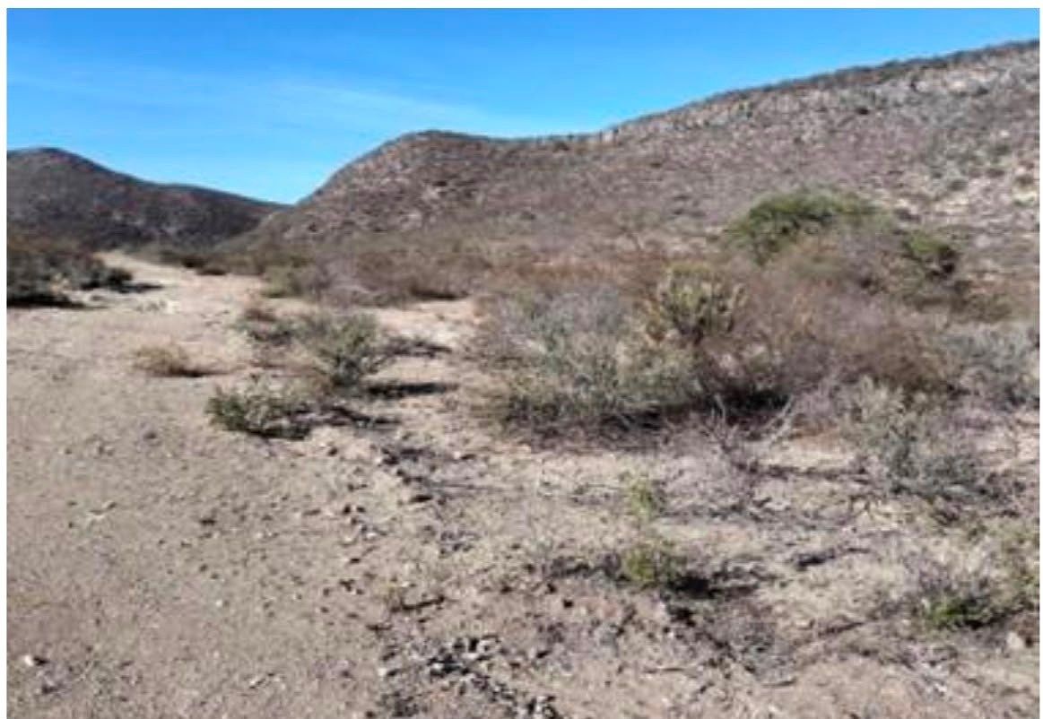 Terreno à Venda em Toliman, Querétaro, foto 1 de 5
