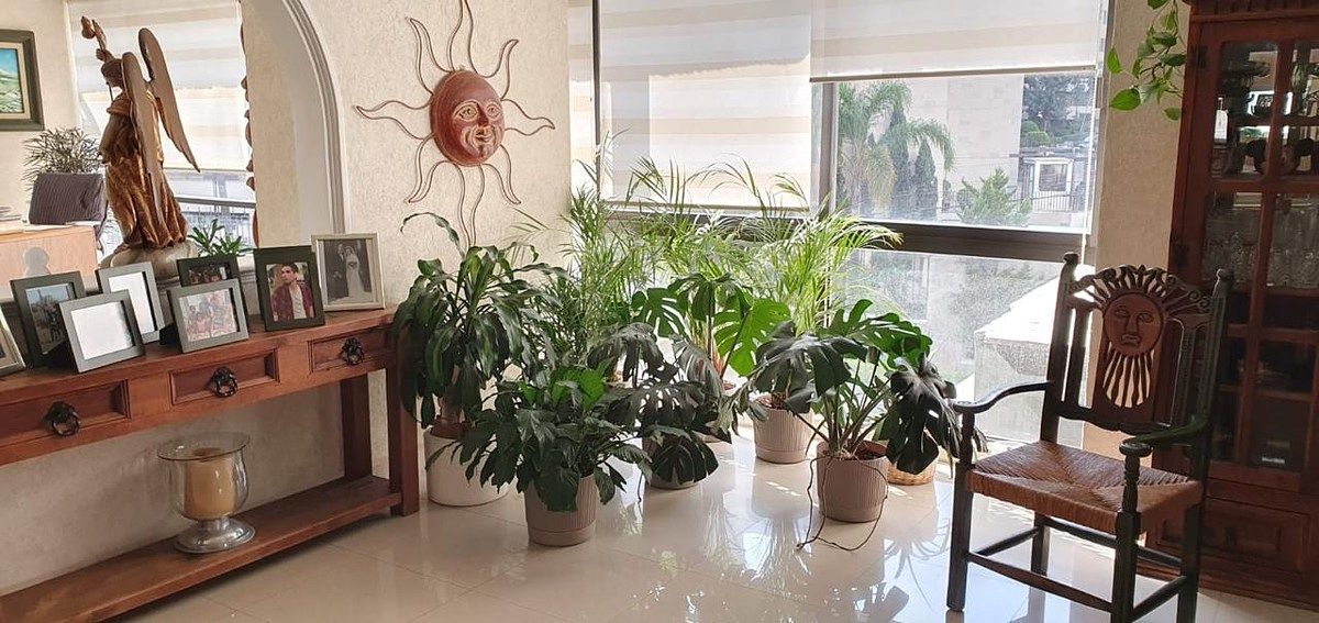 Departamento en Lomas de Chapultepec I Sección, Miguel Hidalgo, foto 8 de 14