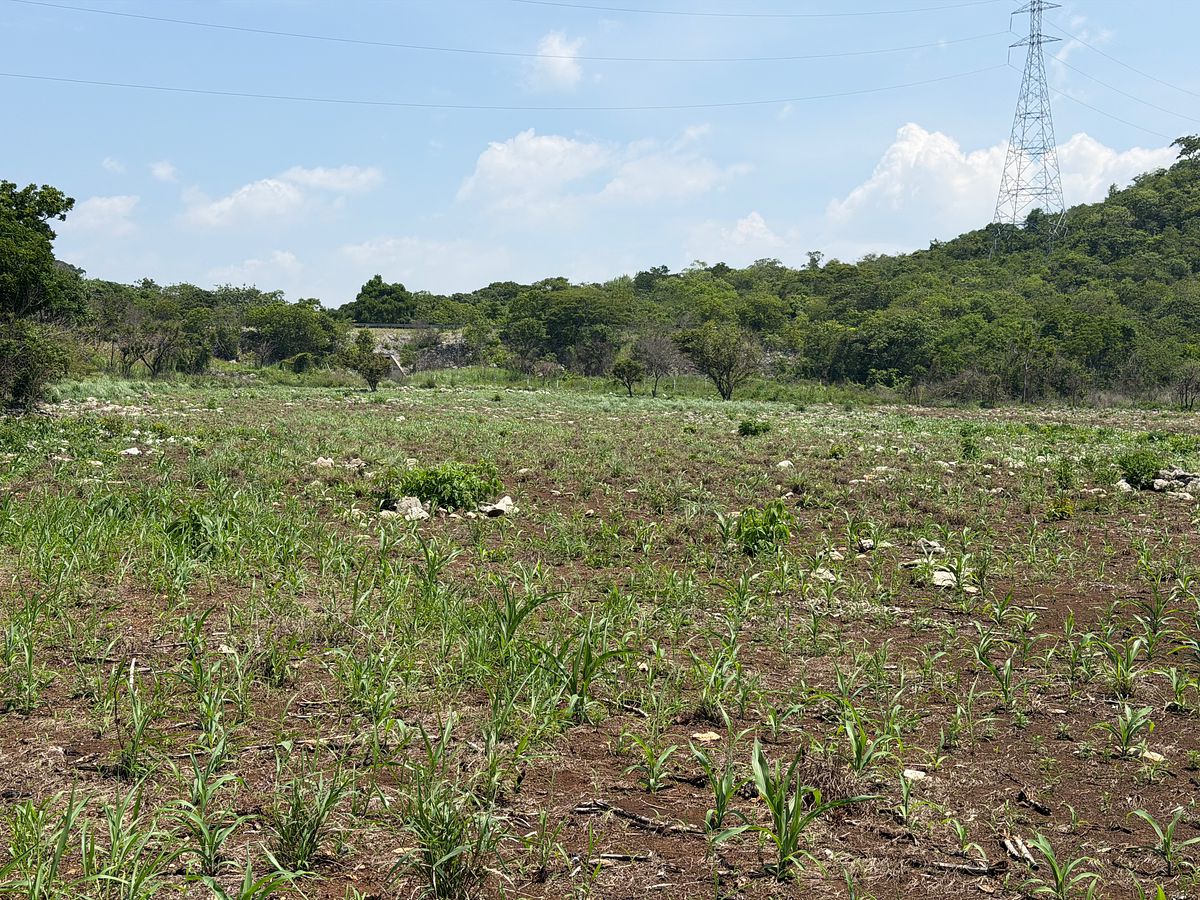 Rancho en Nuevo, Ocozocoautla de Espinosa, foto 3 de 18