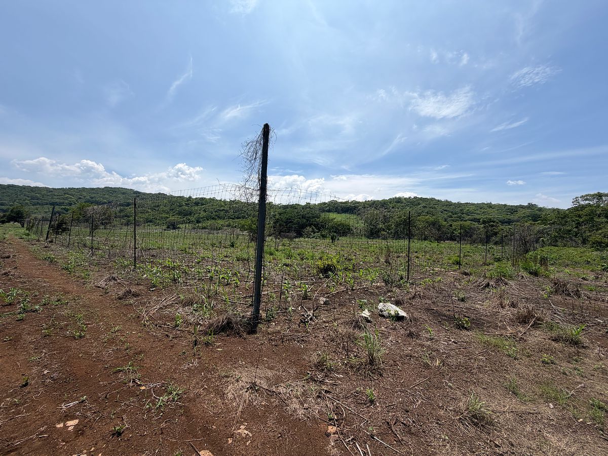 Rancho en Nuevo, Ocozocoautla de Espinosa, foto 7 de 18