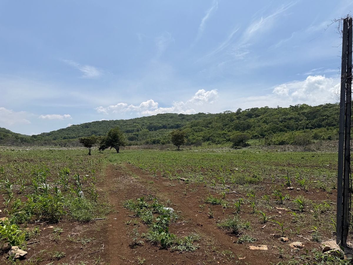 Rancho en Nuevo, Ocozocoautla de Espinosa, foto 9 de 18