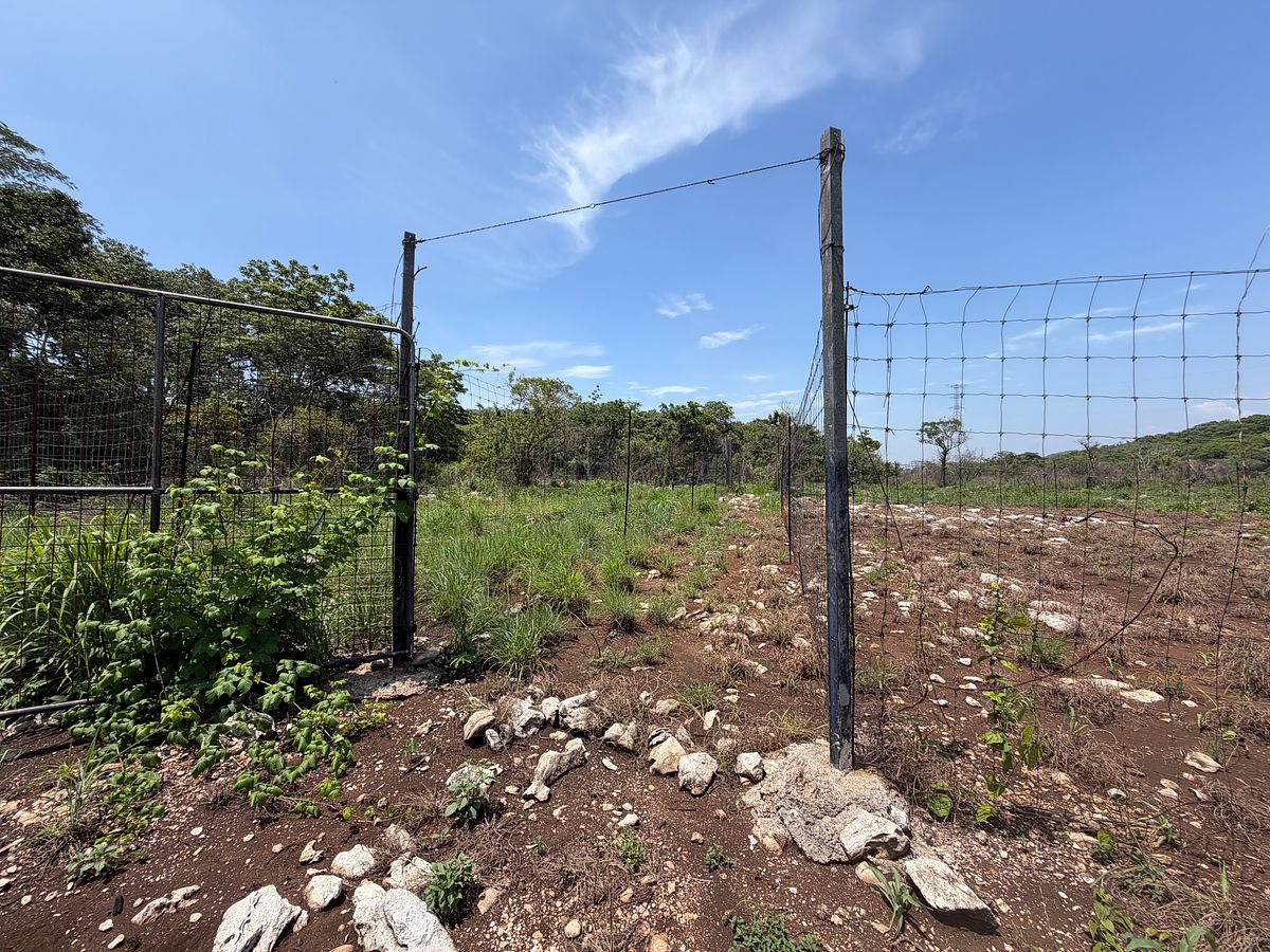 Rancho en Nuevo, Ocozocoautla de Espinosa, foto 10 de 18