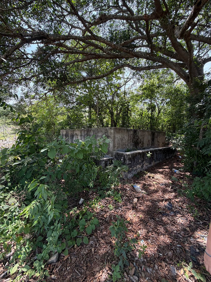 Rancho en Nuevo, Ocozocoautla de Espinosa, foto 11 de 18