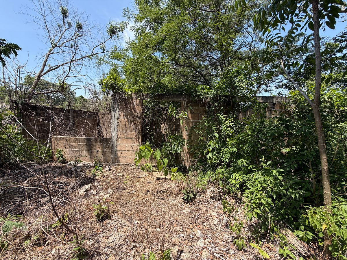 Rancho en Nuevo, Ocozocoautla de Espinosa, foto 13 de 18
