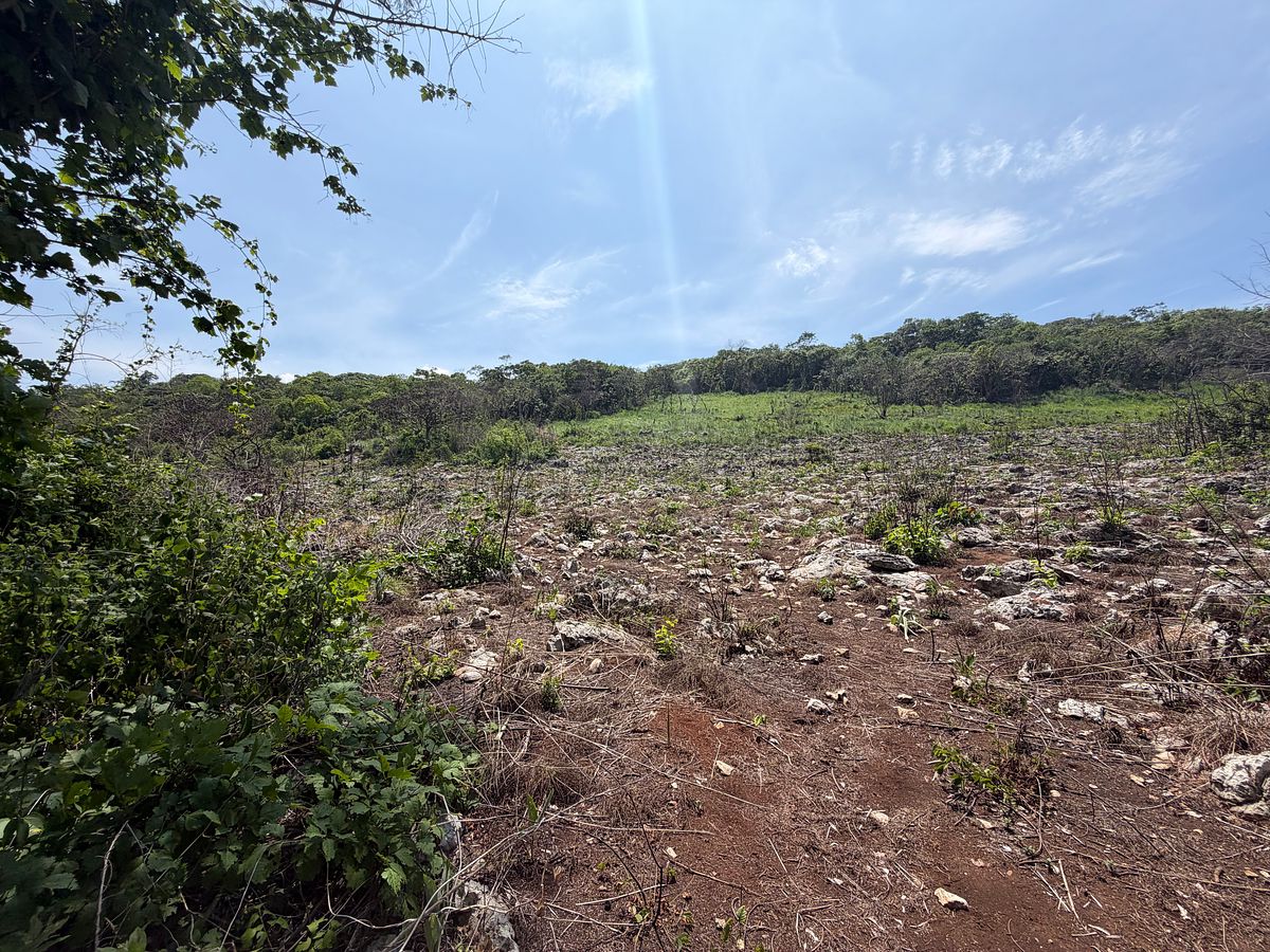 Rancho en Nuevo, Ocozocoautla de Espinosa, foto 14 de 18