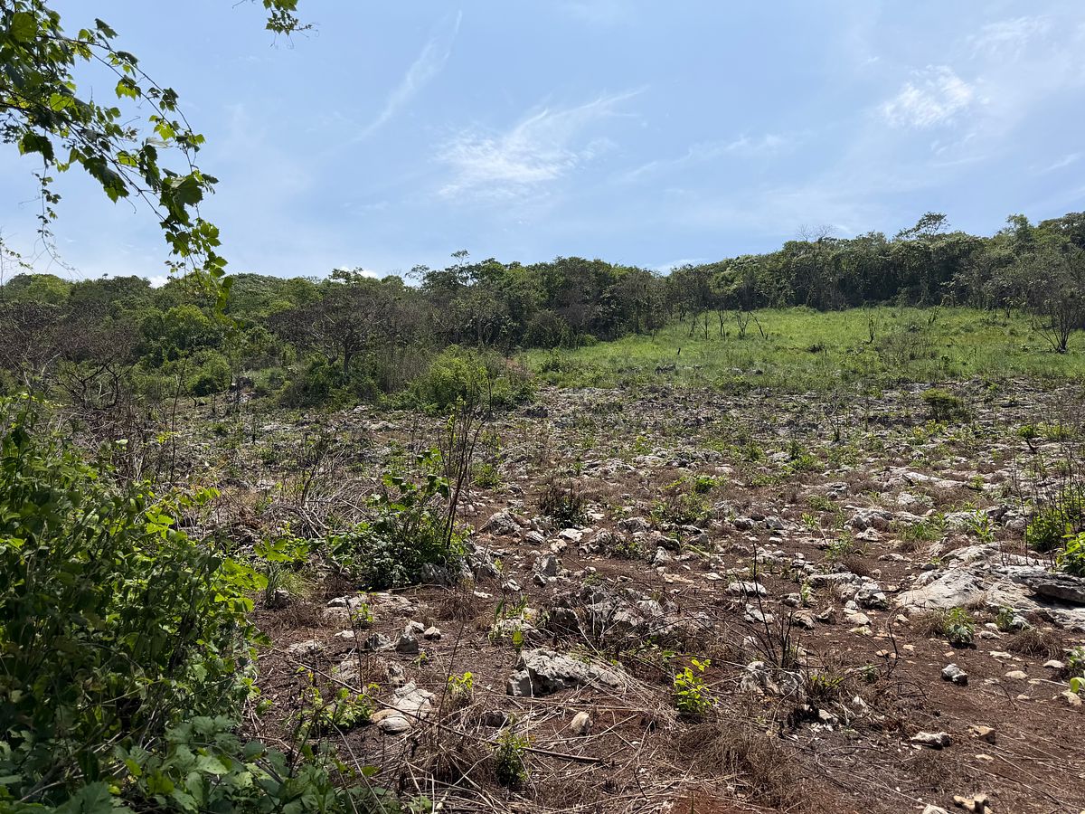 Rancho en Nuevo, Ocozocoautla de Espinosa, foto 15 de 18