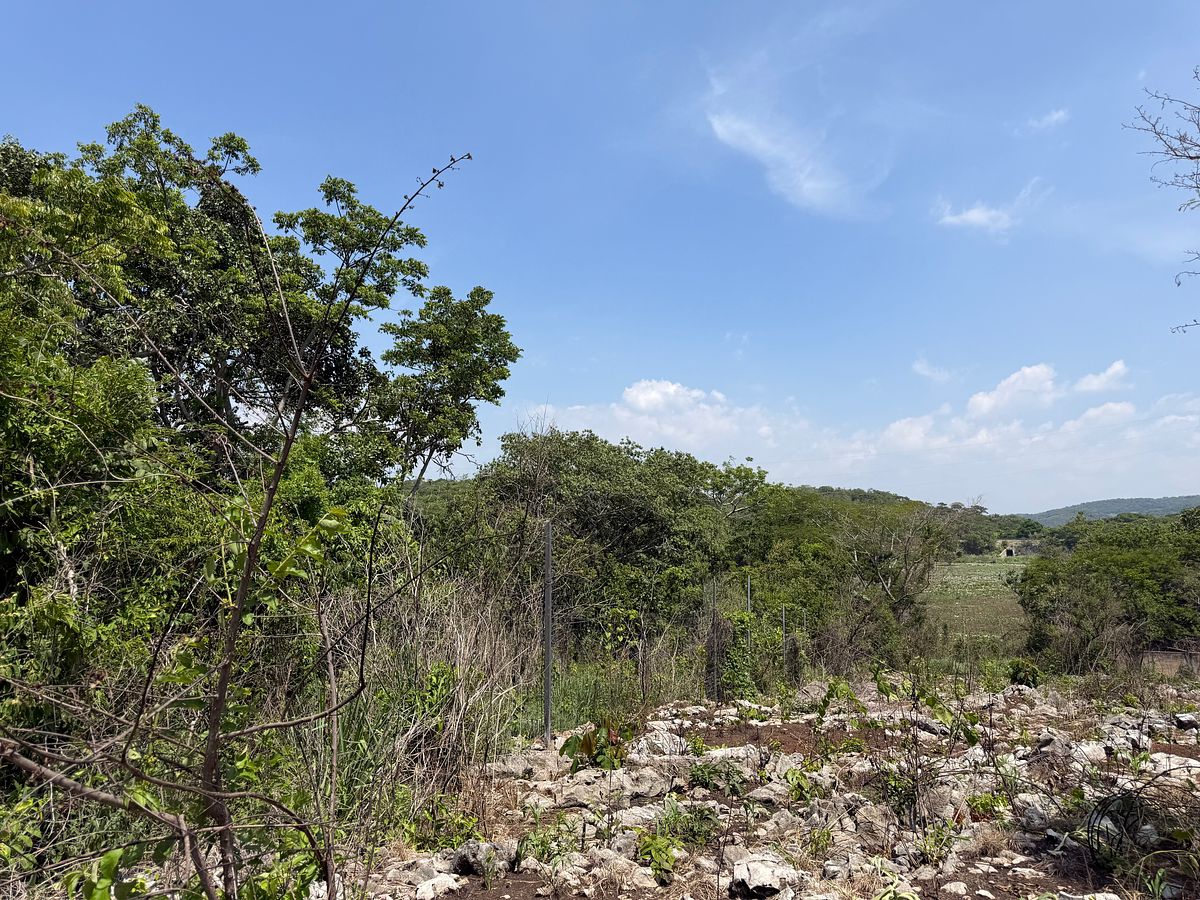Rancho en Nuevo, Ocozocoautla de Espinosa, foto 17 de 18