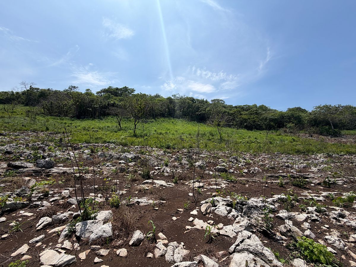 Rancho en Nuevo, Ocozocoautla de Espinosa, foto 18 de 18