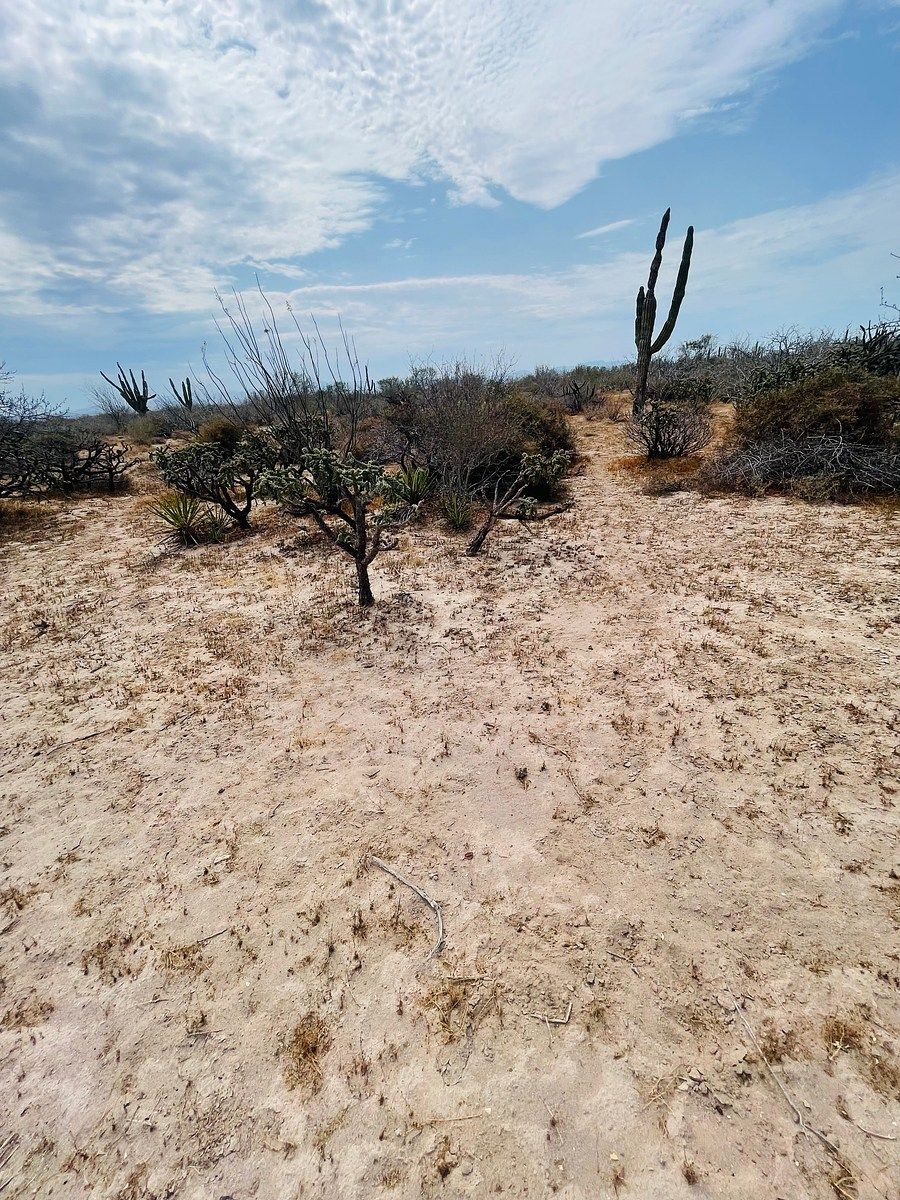 Lote em El Centenario, La Paz, foto 14 de 28