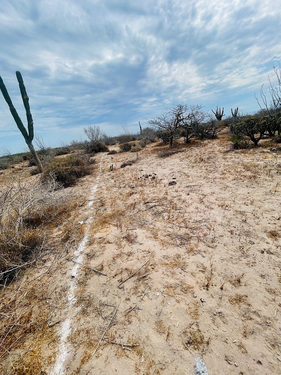 Lote em El Centenario, La Paz, foto 15 de 28