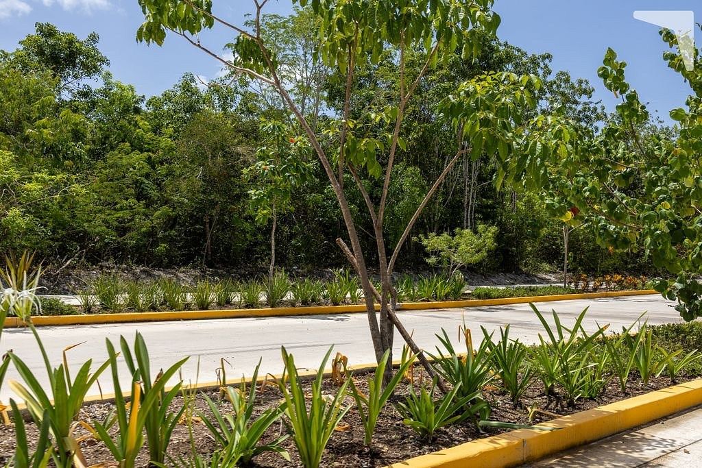 Lote em Kulkana, Benito Juárez, foto 11 de 20