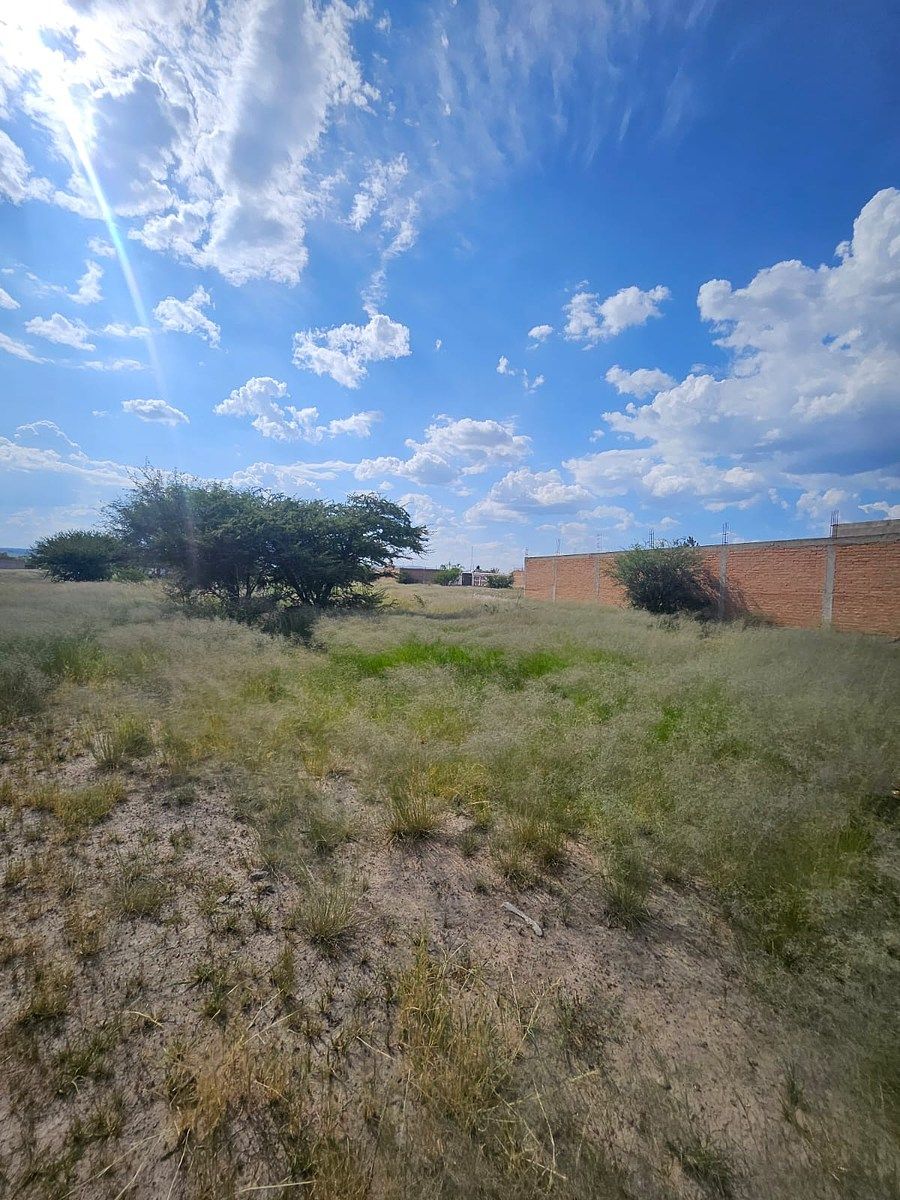 Terreno en 23 de Marzo, Durango, foto 4 de 4