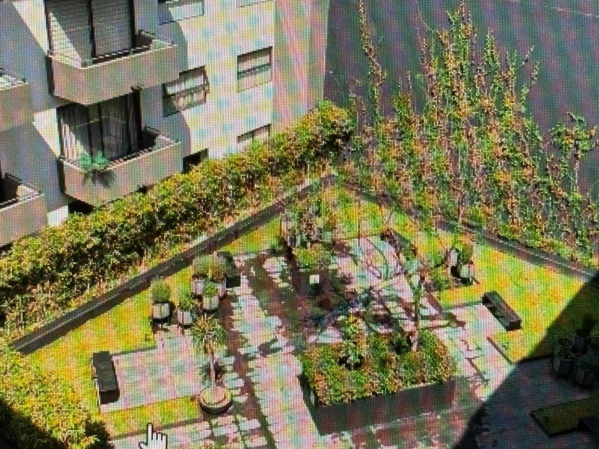 Departamento en Olivar de los Padres, Álvaro Obregón, foto 16 de 18