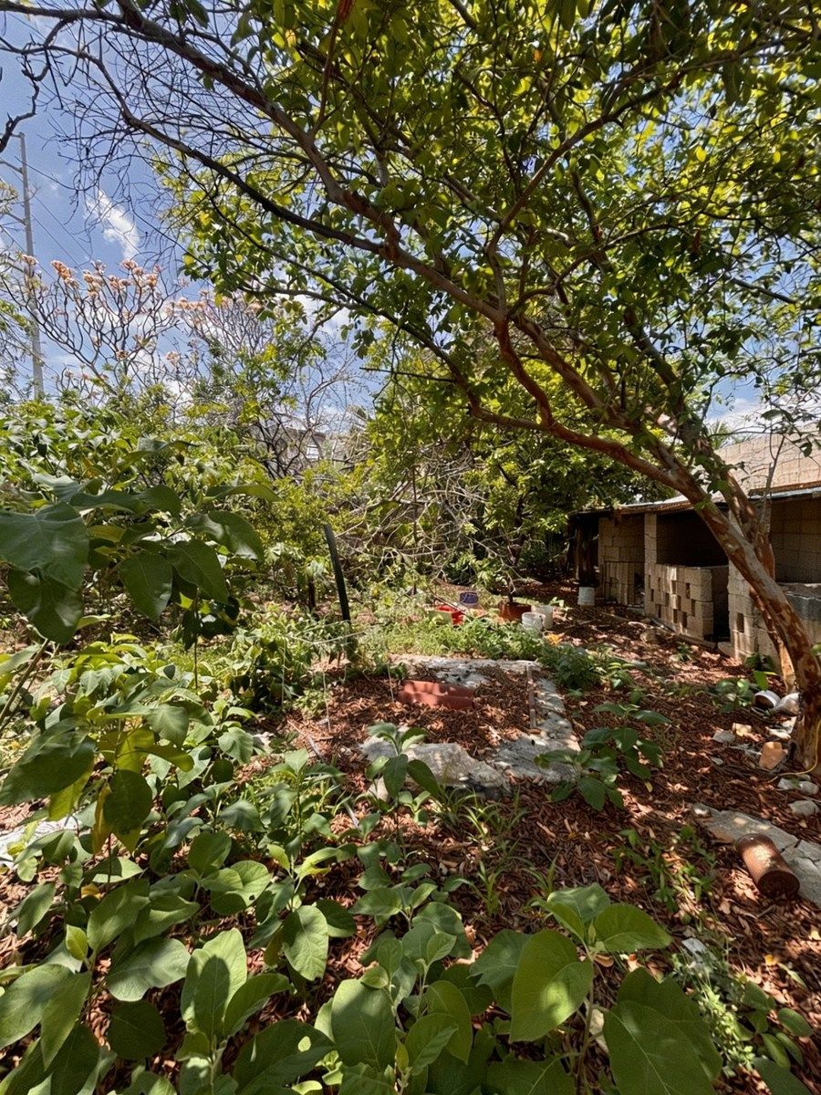 Casa em Mérida Centro, Mérida, foto 6 de 11