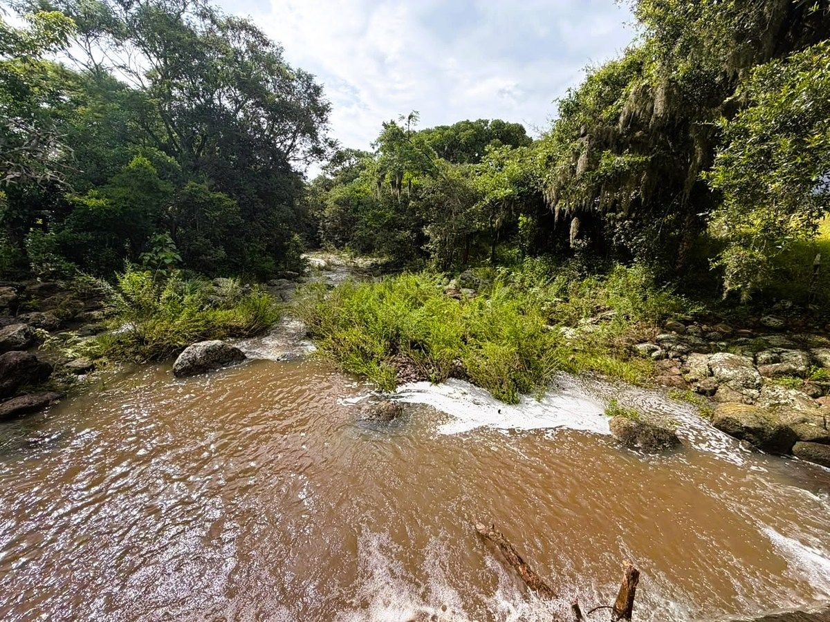 Terreno en Alto Lucero, Alto Lucero de Gutiérrez Barrios, foto 7 de 11