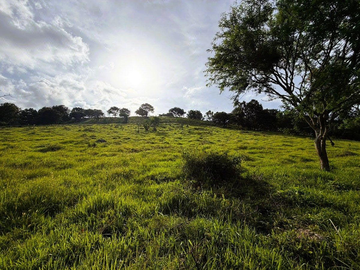 Terreno en Alto Lucero, Alto Lucero de Gutiérrez Barrios, foto 8 de 11