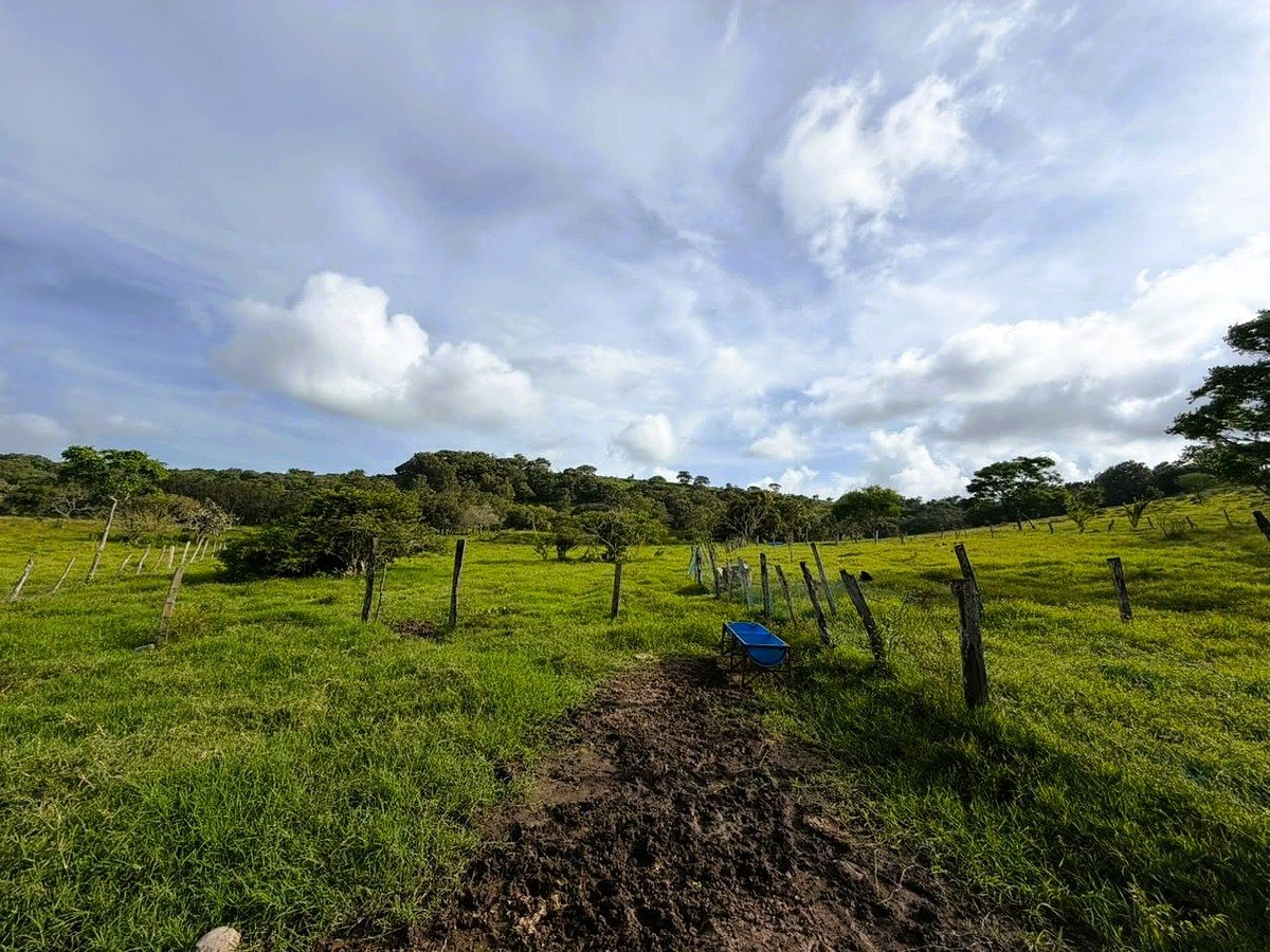 Terreno en Alto Lucero, Alto Lucero de Gutiérrez Barrios, foto 9 de 11