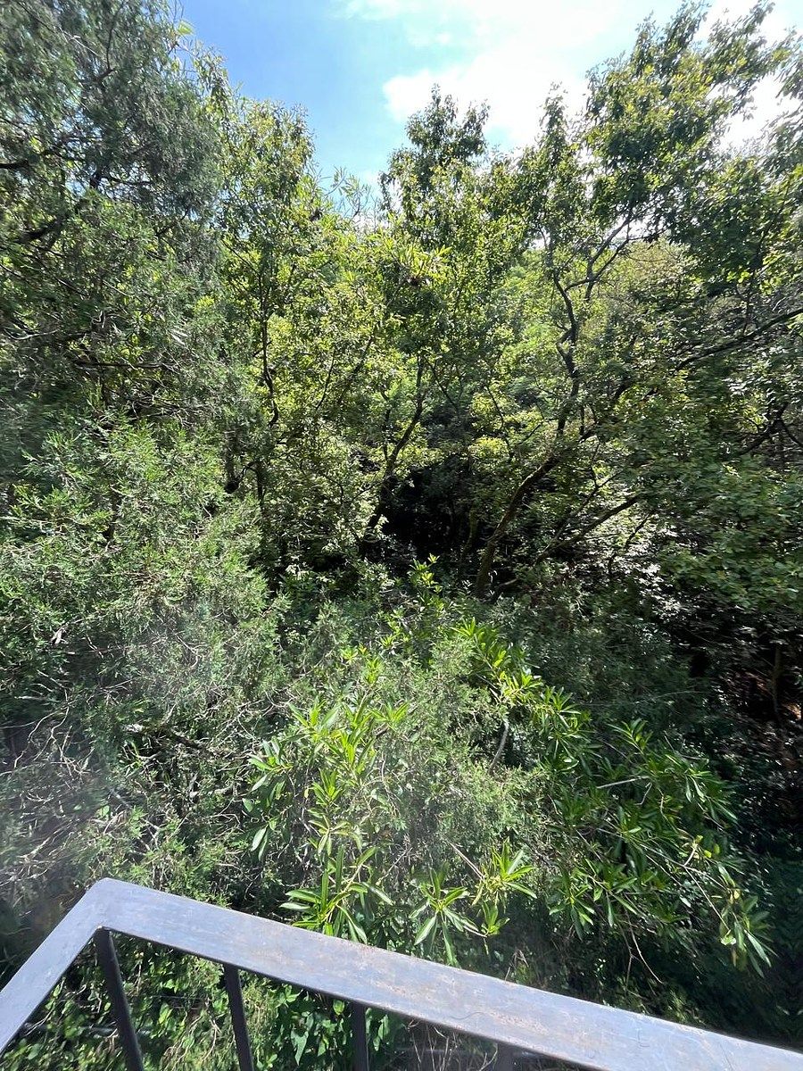 Lote em Rancho Tetela, Cuernavaca, foto 19 de 27