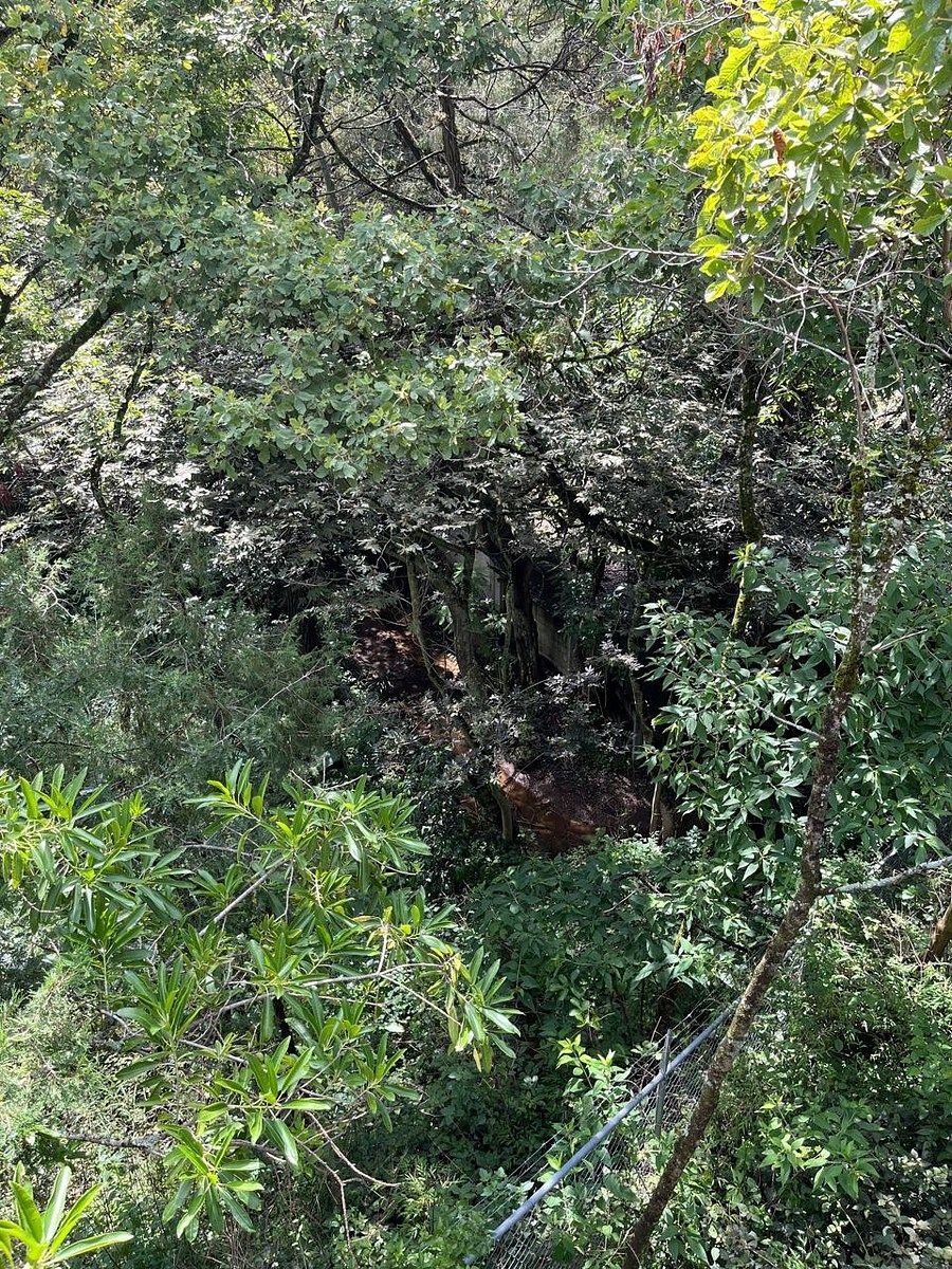 Lote em Rancho Tetela, Cuernavaca, foto 20 de 27