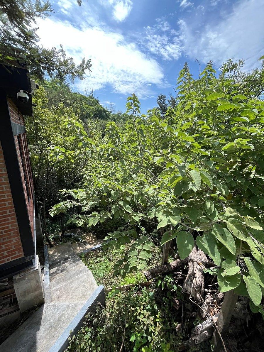 Lote em Rancho Tetela, Cuernavaca, foto 21 de 27