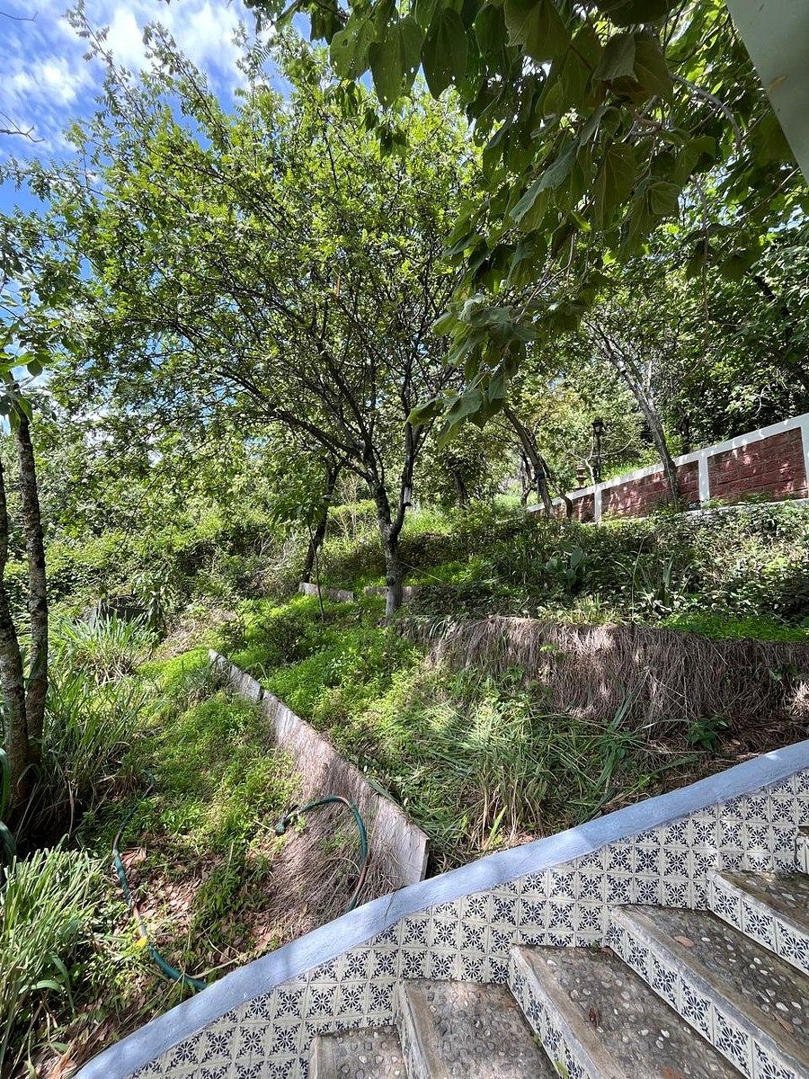 Lote em Rancho Tetela, Cuernavaca, foto 24 de 27