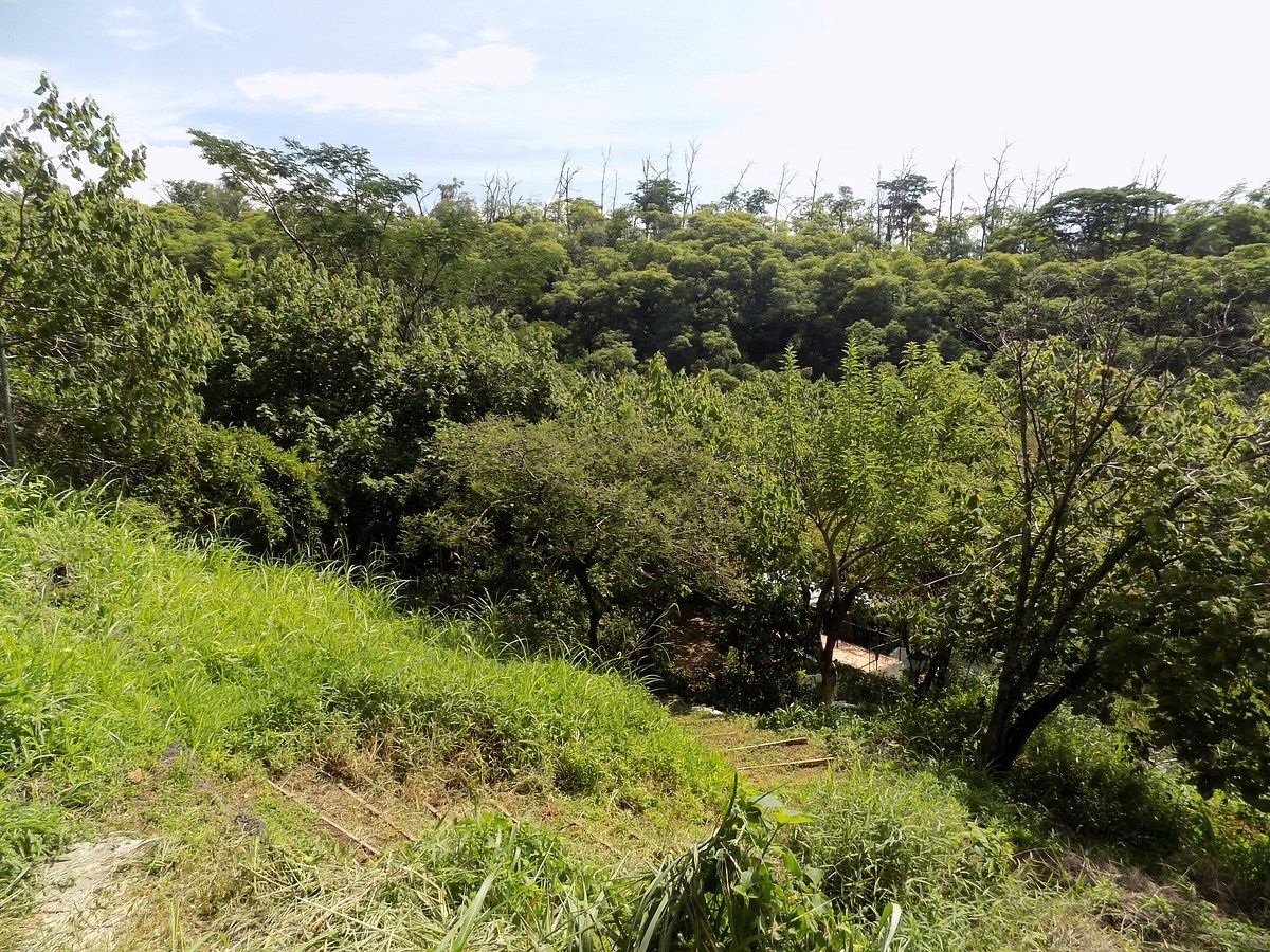 Lote em Rancho Tetela, Cuernavaca, foto 22 de 27