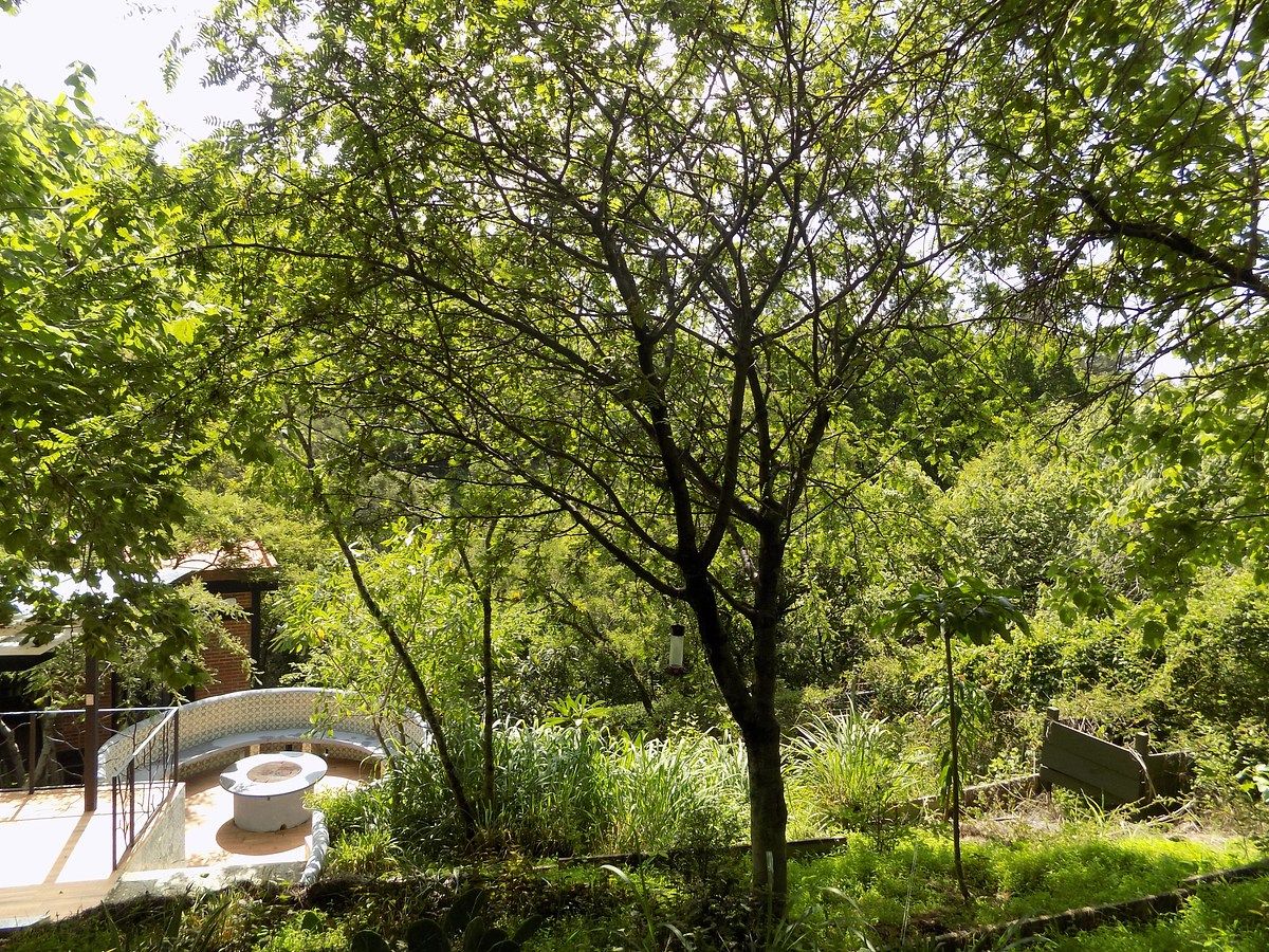 Lote em Rancho Tetela, Cuernavaca, foto 16 de 27