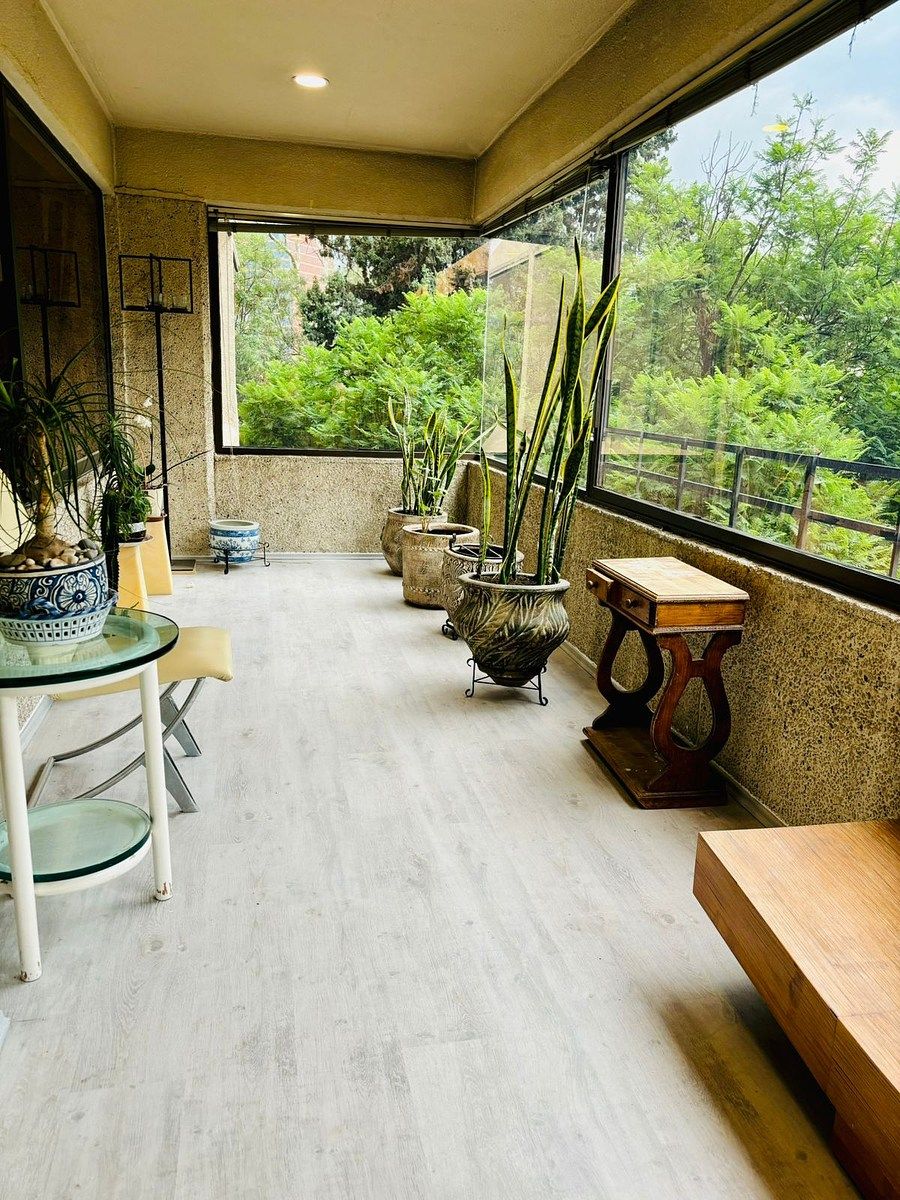 Apartment in Nochebuena, Benito Juárez, photo 12 of 19