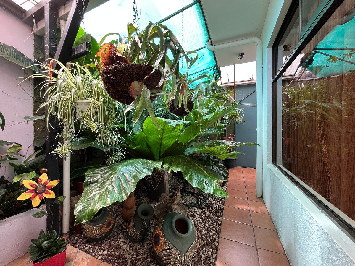 Jardin, foto 13 de 25