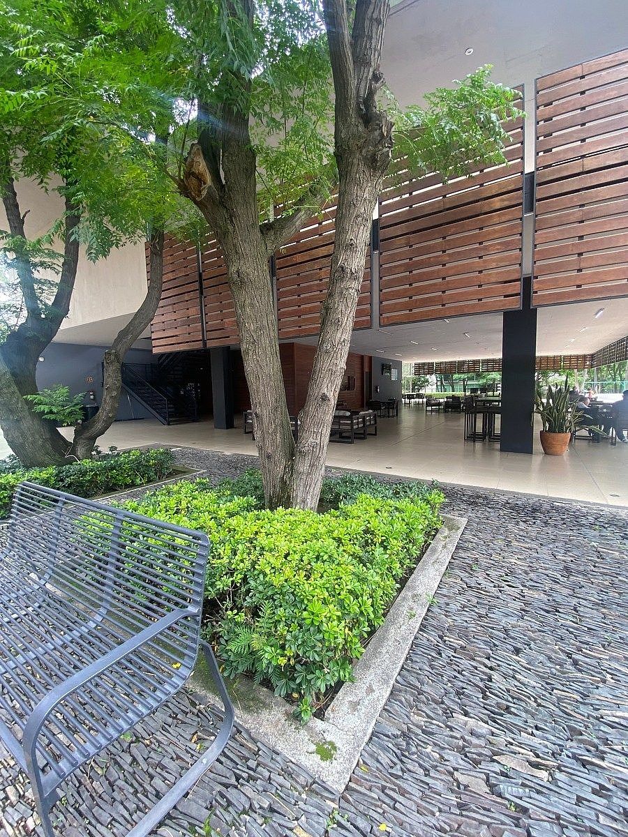 House in La Mojonera, Zapopan, photo 31 of 36