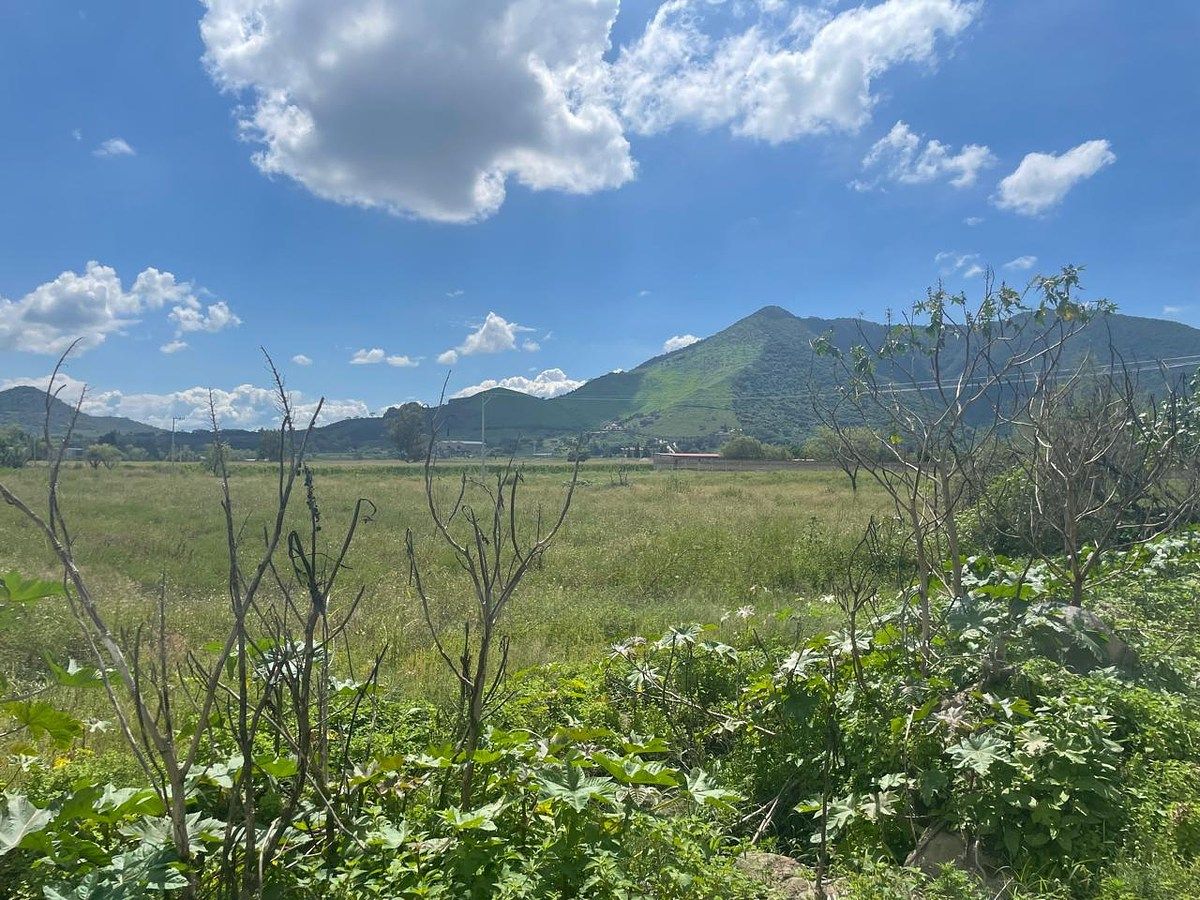Lote em Cofradía, Tlajomulco de Zúñiga, foto 2 de 5