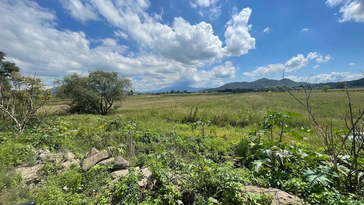 Lote em Cofradía, Tlajomulco de Zúñiga, foto 4 de 5