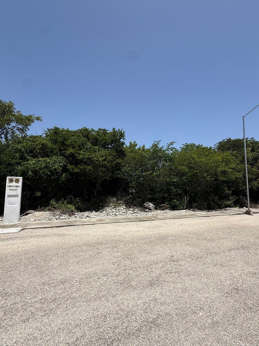Land for sale in Puerta de Agua – Paraíso Progreso, Mérida, Yucatán, photo 1 of 11