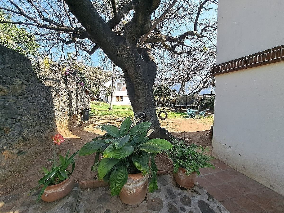 Otro en San Miguel, Tepoztlán, foto 8 de 18