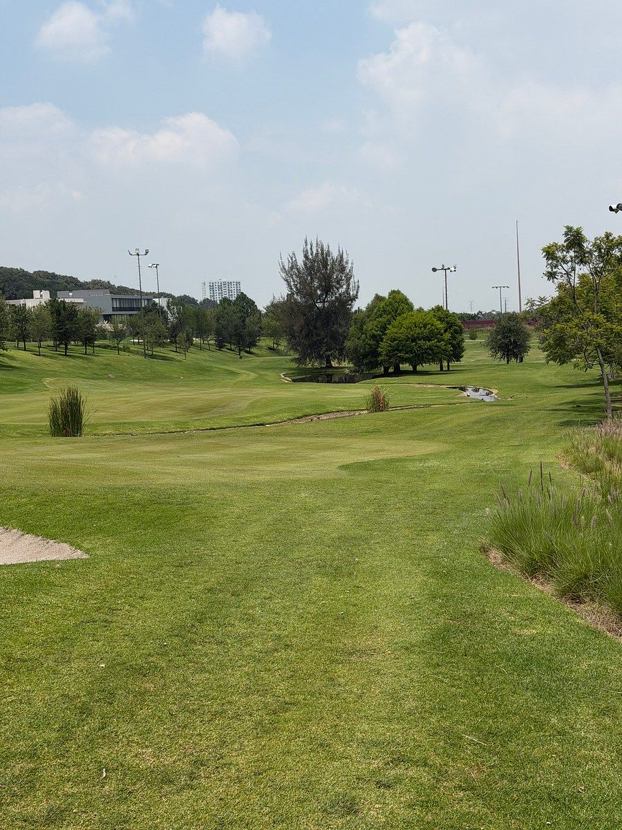 Terreno en Ayamonte, Zapopan, foto 17 de 21